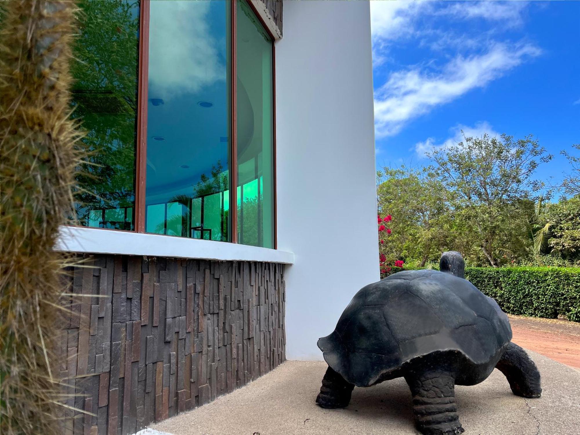 Hotel Tortuga Bay - Galapagos Puerto Ayora  Eksteriør billede