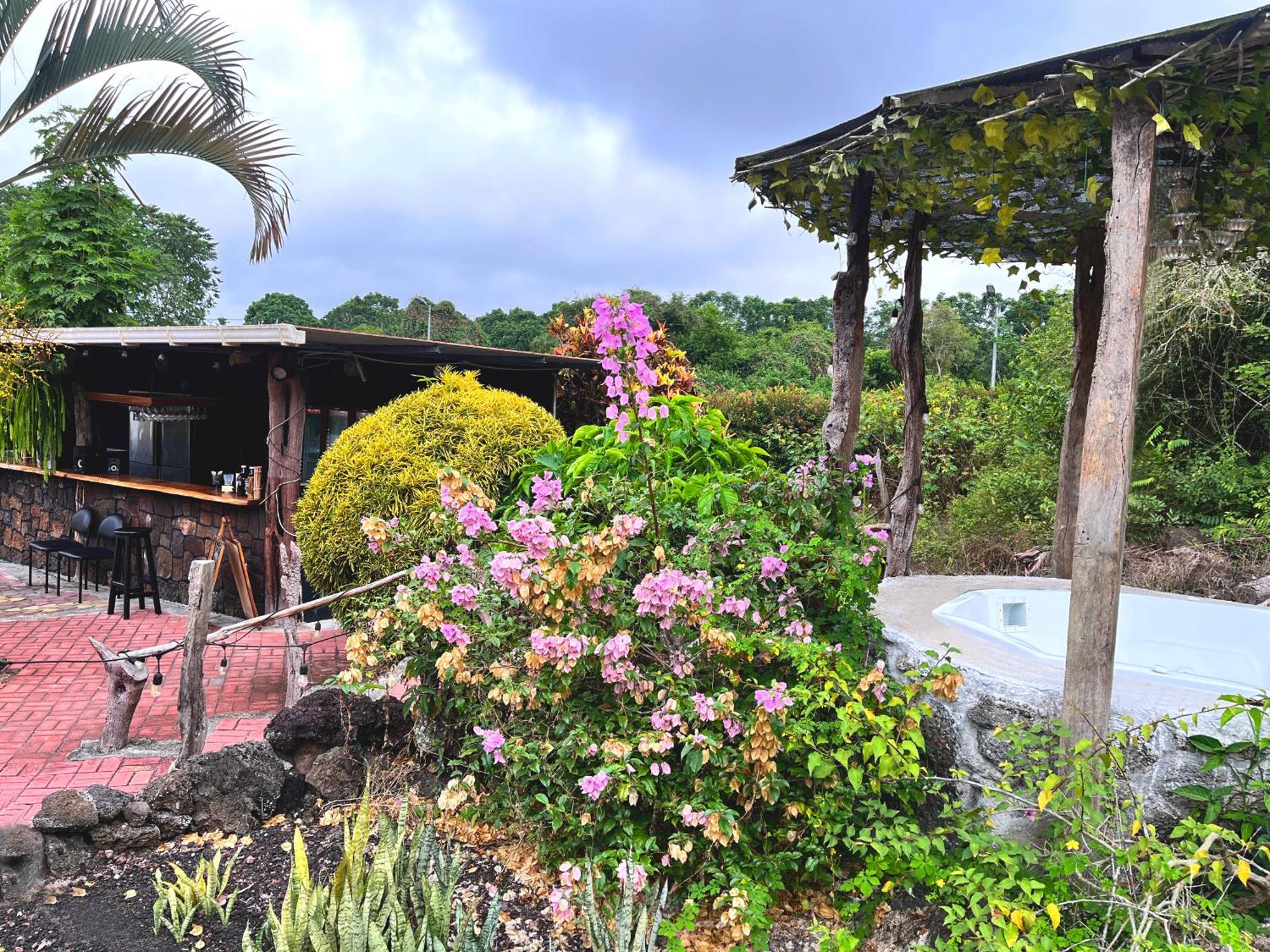 Hotel Tortuga Bay - Galapagos Puerto Ayora  Eksteriør billede